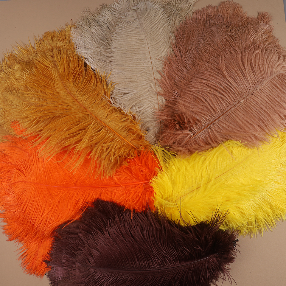 10pcs Ostrich Feathers for Cra – Feather Trim Marabou Bewertung und Preis