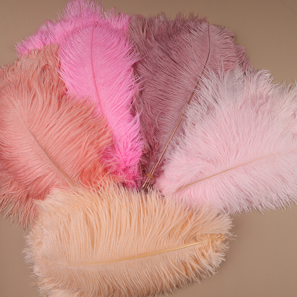 10pcs Ostrich Feathers for Cra – Feather Trim Marabou Bewertung und Preis