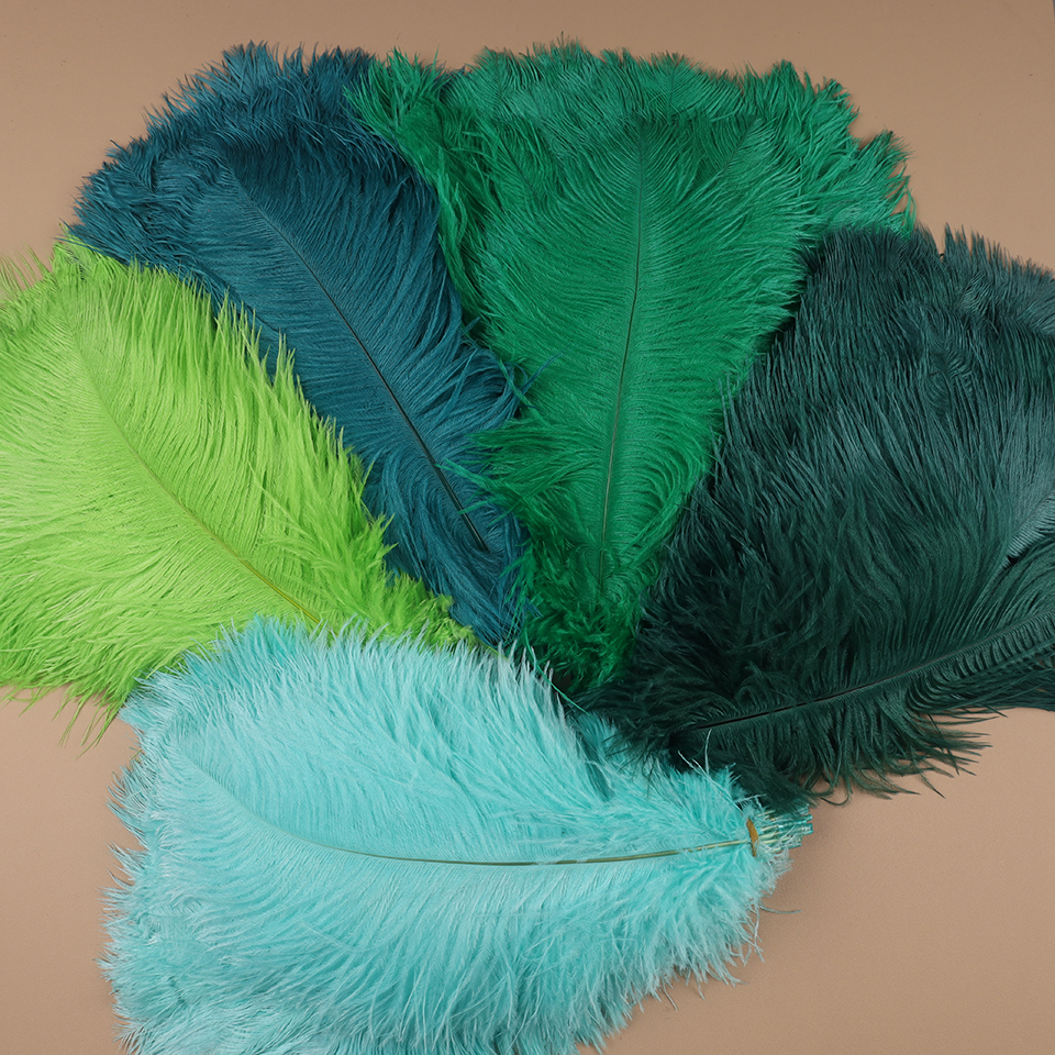 10pcs Ostrich Feathers for Cra – Feather Trim Marabou Bewertung und Preis