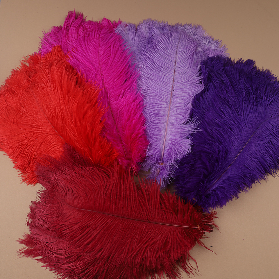 10pcs Ostrich Feathers for Cra – Feather Trim Marabou Bewertung und Preis
