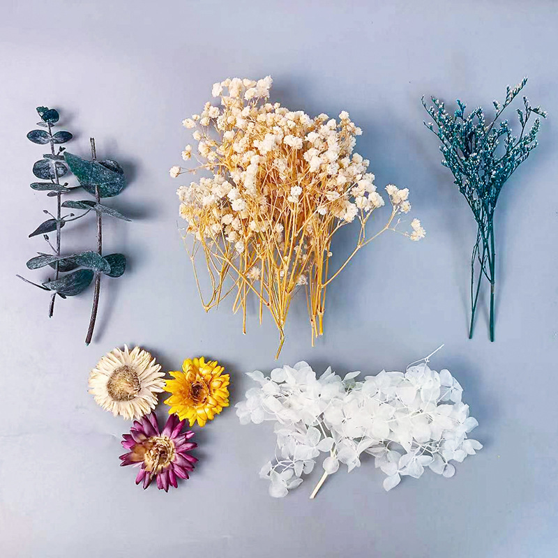 1pack Multifarious Dried Flowe – Craft Embellishment Bewertung und Preis