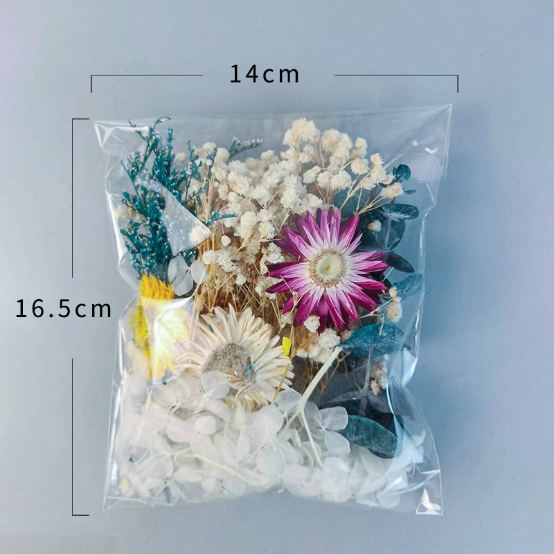 1pack Multifarious Dried Flowe – Craft Embellishment Bewertung und Preis
