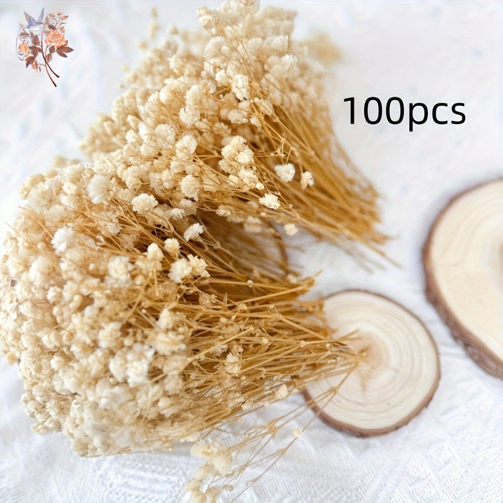 100pcs Mini Dried Baby's Breat – Craft Embellishment Bewertung und Preis