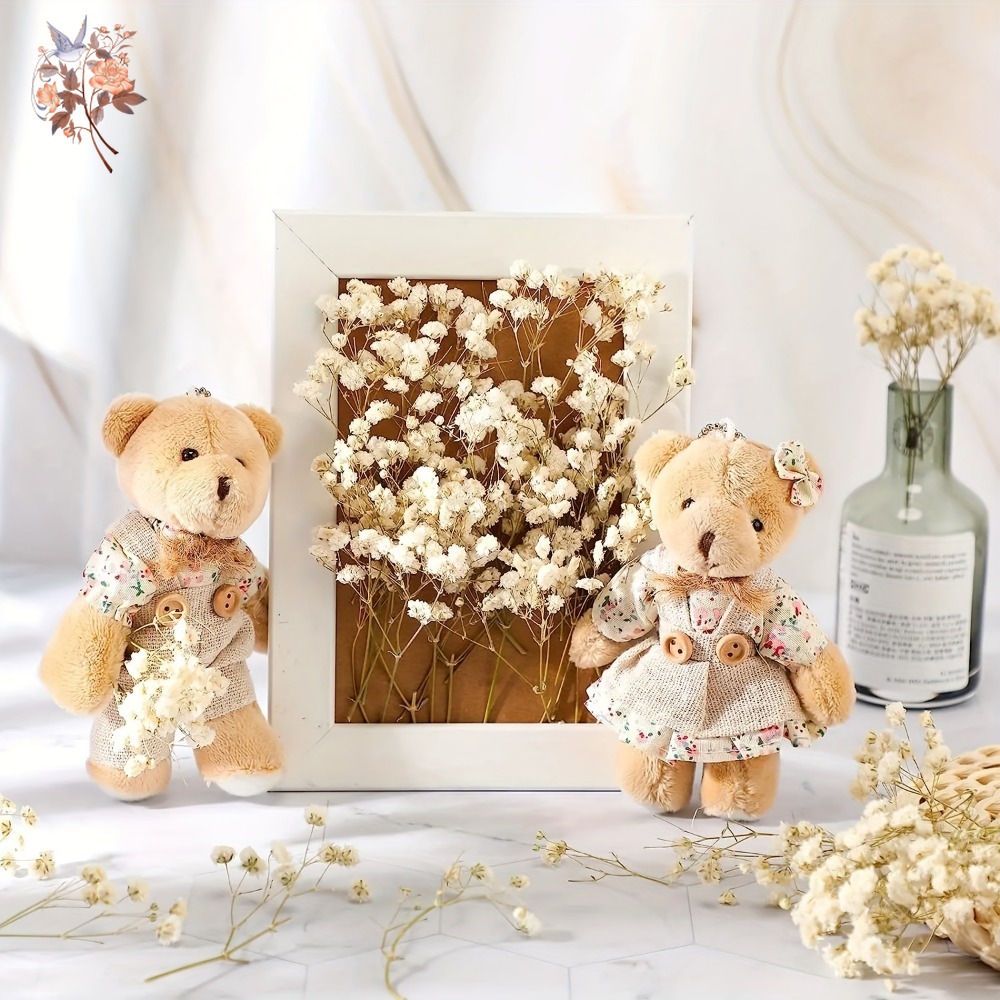 100pcs Mini Dried Baby's Breat – Craft Embellishment Bewertung und Preis